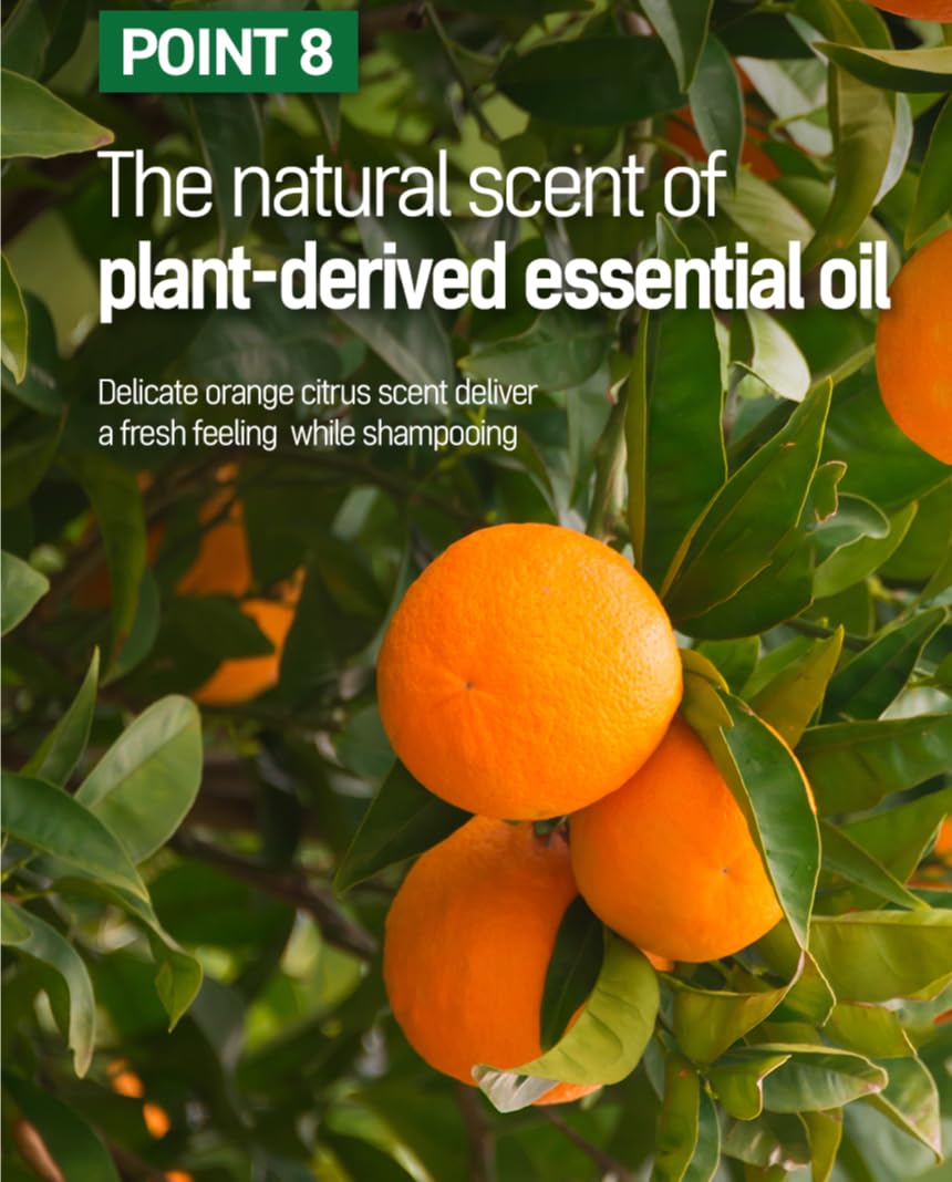 TS Shampoo Plus TS 샴푸 Plus 500ml - Image 9