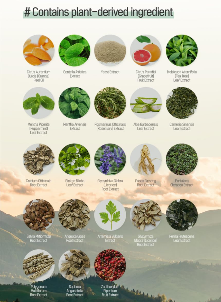 TS Shampoo Plus TS 샴푸 Plus 500ml - Image 5