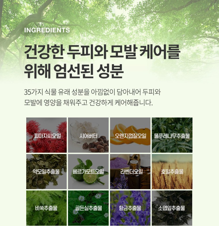 New Gold Premium TS Treatment 뉴 골드 프리미엄 TS 트리트먼트 500ML - Image 9