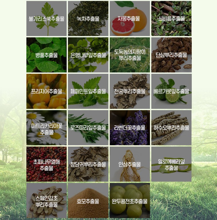 New Gold Premium TS Treatment 뉴 골드 프리미엄 TS 트리트먼트 500ML - Image 10