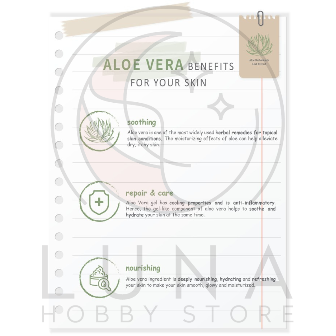 Veraclara | Real Moist Mask | Aloe Vera | 알로에 리얼 수분 마스크 (10x Pack) - Image 8
