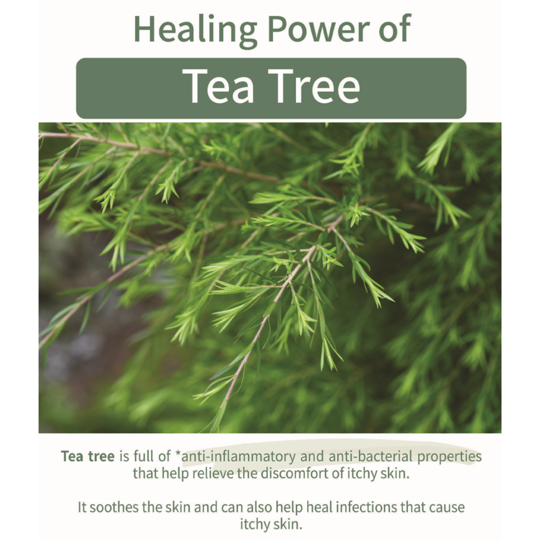 Veraclara | Tea Tree Blemish Spot Patches | 티트리 여드름 스팟 패치 (105 pcs) - Image 15