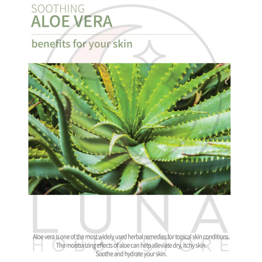 Veraclara | Real Moist Mask | Aloe Vera | 알로에 리얼 수분 마스크 (10x Pack) - Image 7