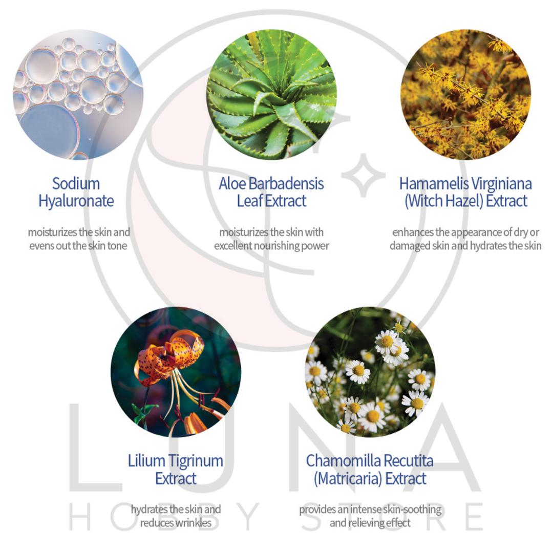 Veraclara | Real Moist Mask | Gold Bird’s Nest | 골드버드 네스트 리얼 수분 마스크 - Image 6