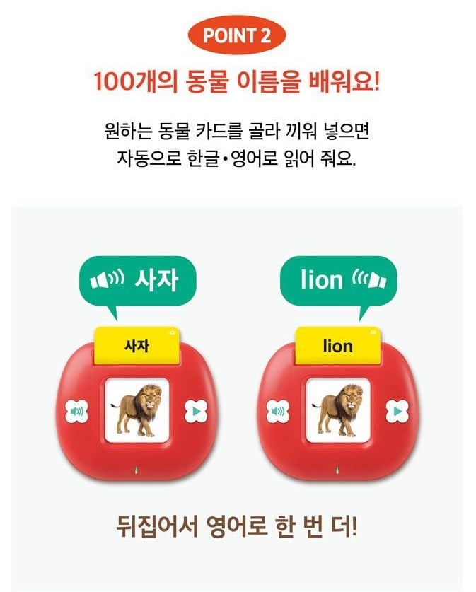 Big Tulip Sound Card – Korean & English Animal Edition - Image 3