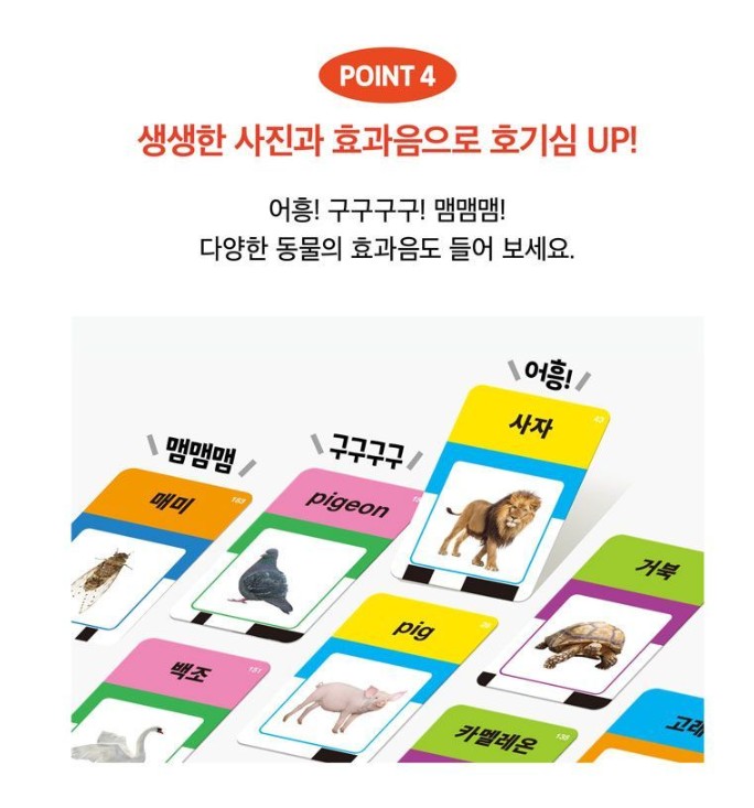 Big Tulip Sound Card – Korean & English Animal Edition - Image 5