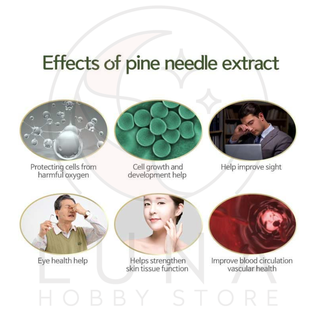 Rapha Peri Alpha | Pine Needle Extract Supplement | 라파 페리 알파 - Image 6